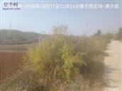 辽宁省,朝阳市,龙城区,半拉山街道,半拉山村