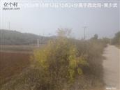 辽宁省,朝阳市,龙城区,半拉山街道,半拉山村