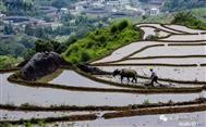 福建省,漳州市,南靖县,梅林镇,磜头村