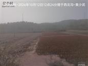 辽宁省,朝阳市,龙城区,半拉山街道,半拉山村