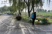 山东省,枣庄市,滕州市,界河镇,东孟村