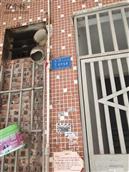 广东省,佛山市,南海区,九江镇,万安社区