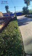辽宁省,沈阳市,康平县,沙金台乡,太平庄村