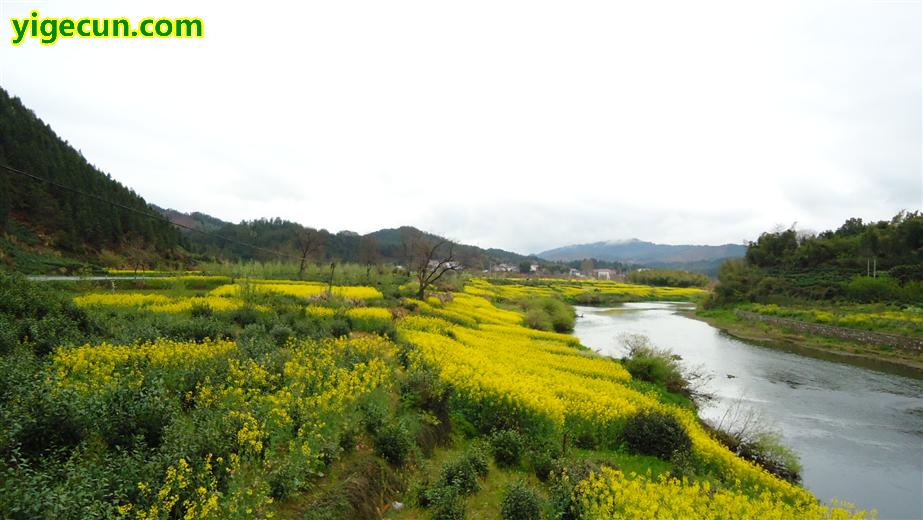 安徽省黄山市祁门县塔坊乡响潭村图片