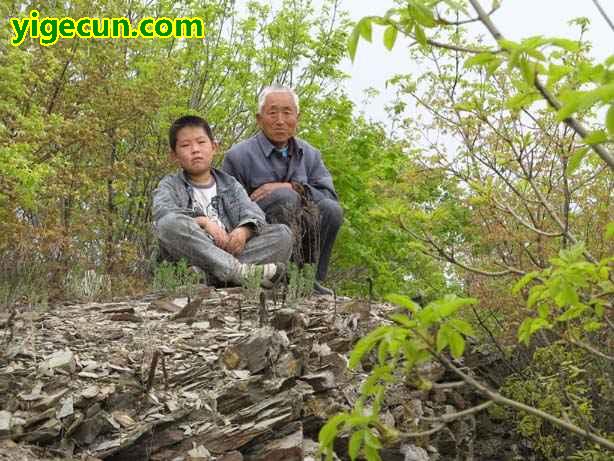 辽宁省鞍山市海城市英落镇后窨峪村图片