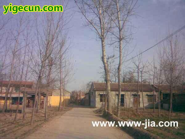 图片_河南省濮阳市濮阳县胡状乡张大张村