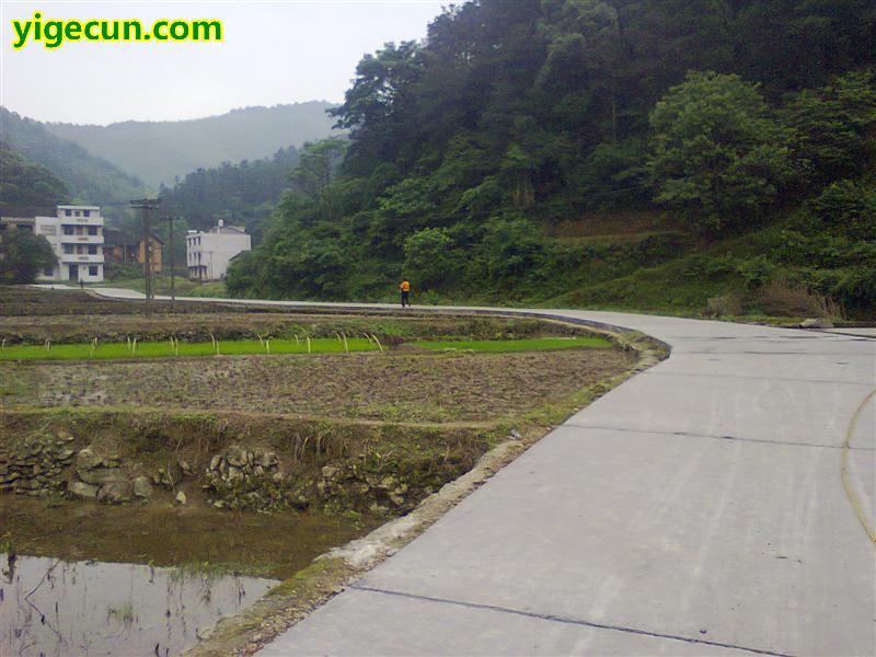 圖片_湖南省衡陽市衡陽縣杉橋鎮上洲村