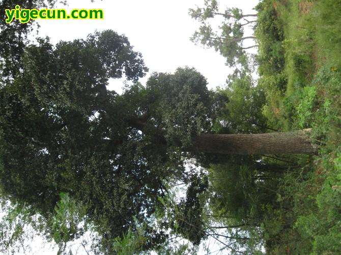 图片_湖南省永州市新田县高山乡程家村