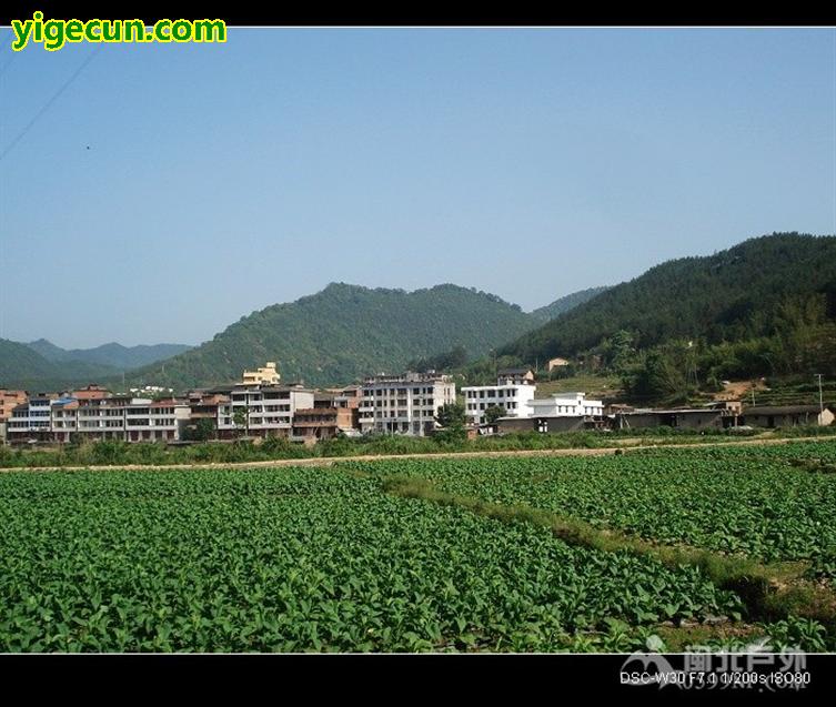 图片_福建省南平市延平区巨口乡巨口村