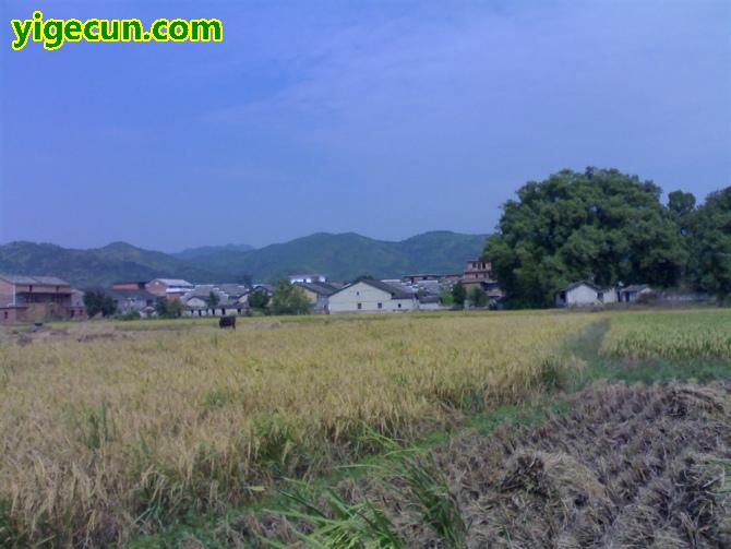 江西省吉安市安福縣金田鄉峽陂村