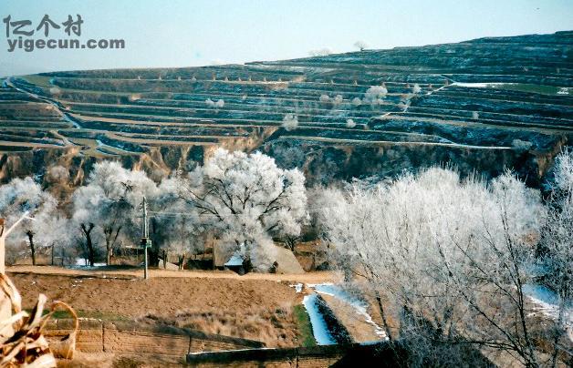 甘肃省平凉市静宁县红寺乡红寺村图片