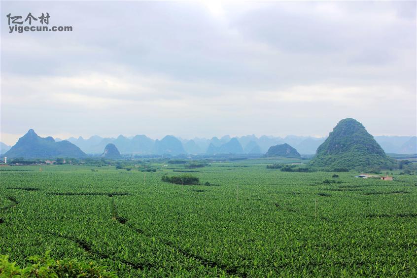 图片_广西南宁市隆安县丁当镇华岳村