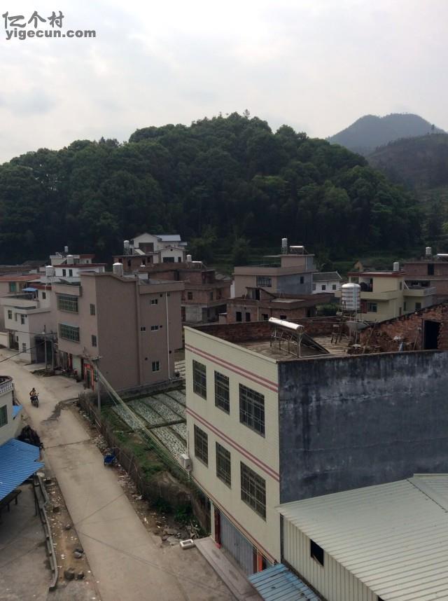 和平县青州镇图片