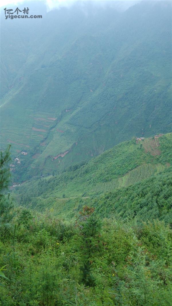 图片_云南省昆明市东川区因民镇天生塘村