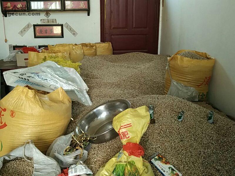 图片_贵州省黔西南州兴仁县屯脚镇九头村