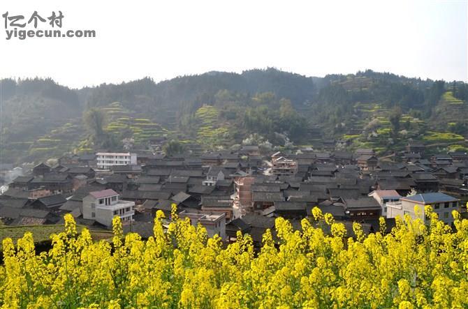 图片_贵州省黔东南州黎平县九潮镇阡洞村