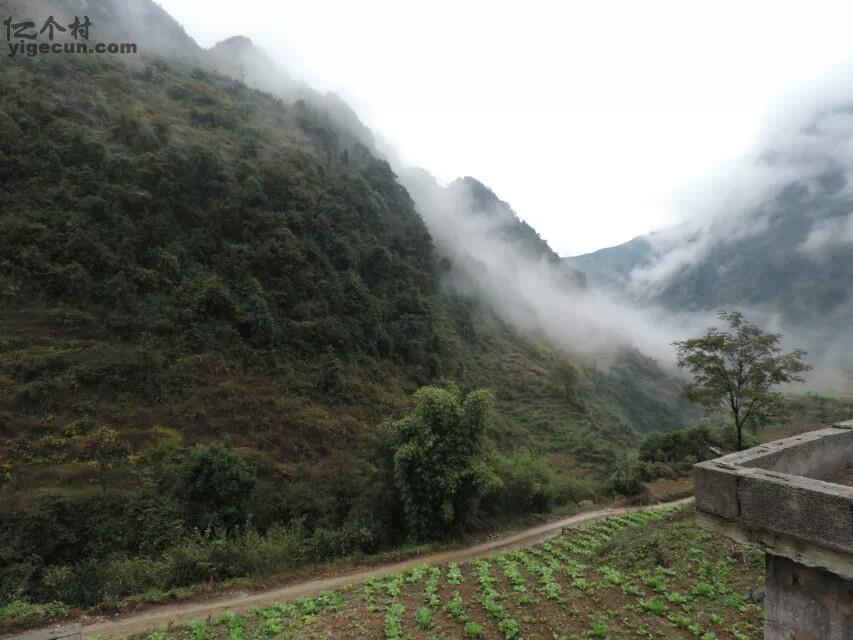 雲南省昭通市彝良縣牛街鎮水田村圖片