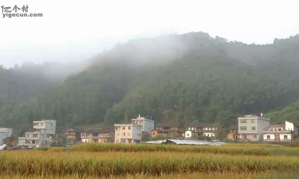 图片_福建省龙岩市上杭县茶地乡樟树村