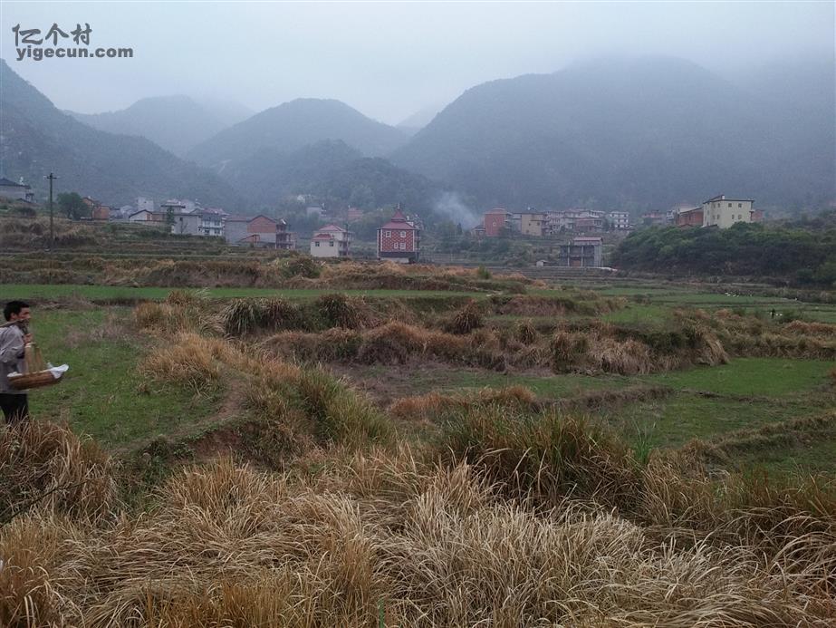 图片_江西省上饶市广丰县嵩峰乡里洋村