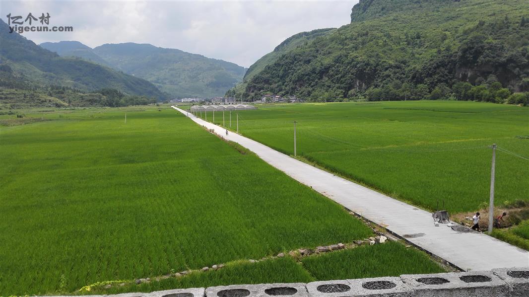 图片_湖南省湘西州龙山县靛房镇先锋村