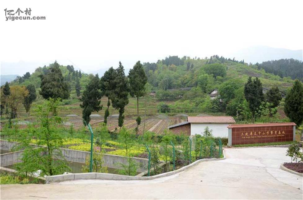 图片_重庆市万州区长坪乡大树村