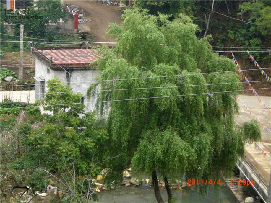 普宁市图片