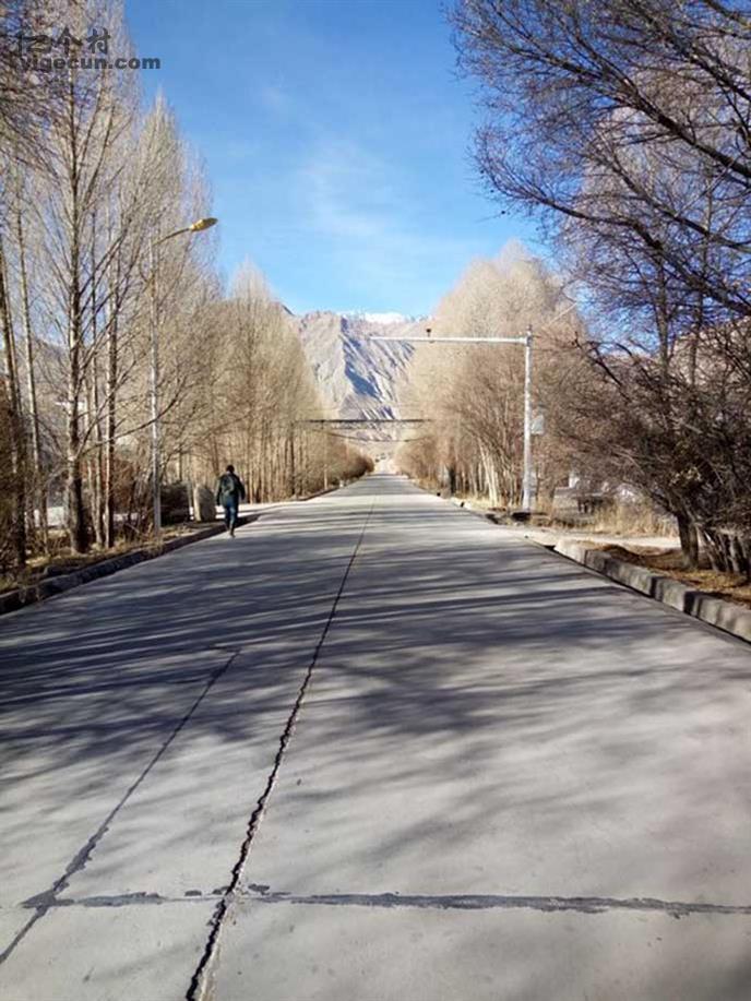 图片_甘肃省定西市通渭县碧玉乡雷岔村