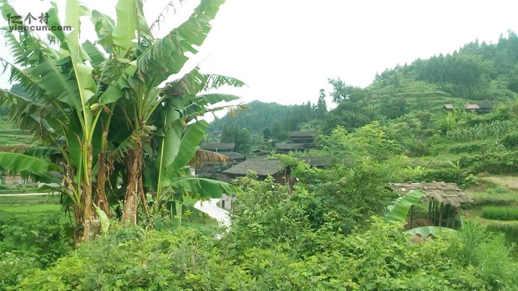 贵州省黔东南州天柱县社学乡摆溪村图片