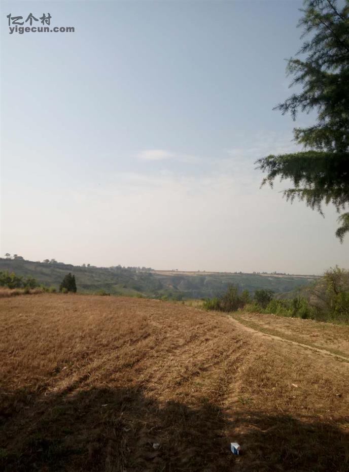 图片_陕西省咸阳市乾县周城镇慈母村