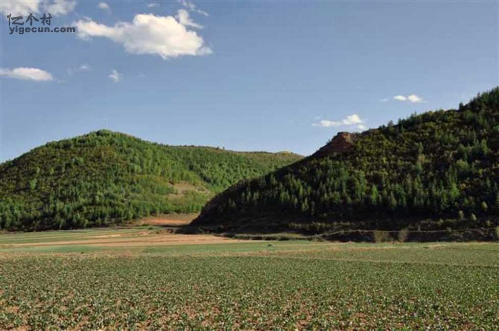 甘肃省天水市武山县沿安乡西沟村图片