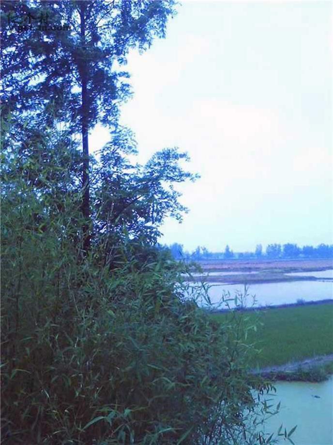 图片_湖北省荆州市监利县朱河镇沈黄村