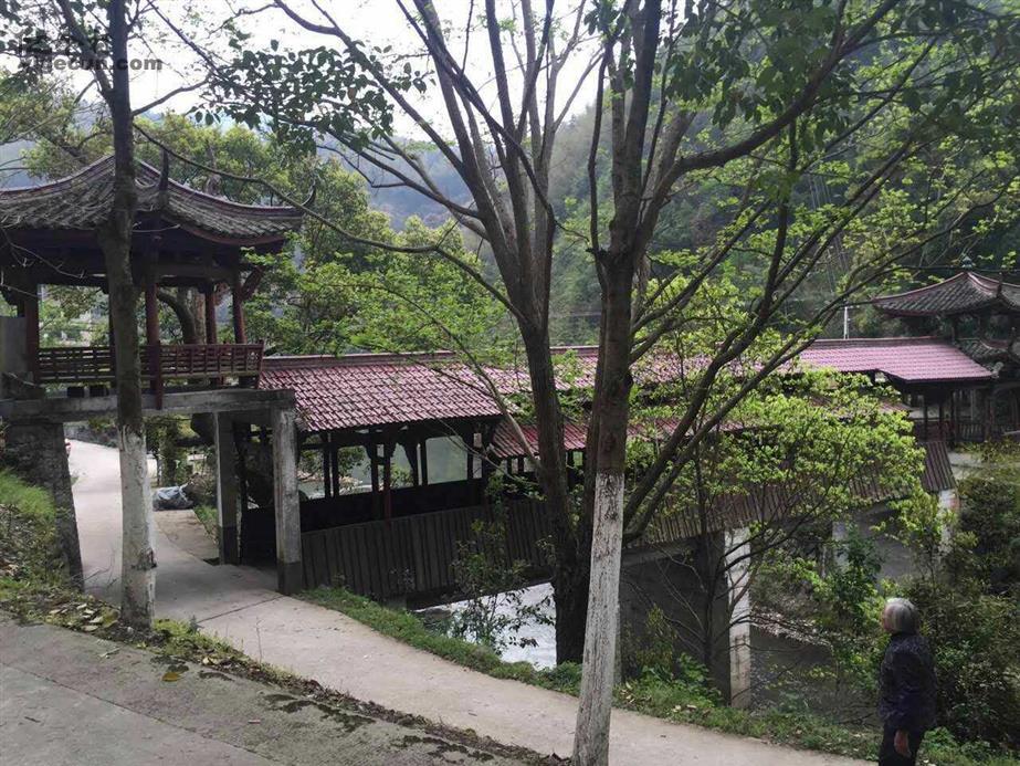 浙江省丽水市莲都区雅溪镇上黄村图片