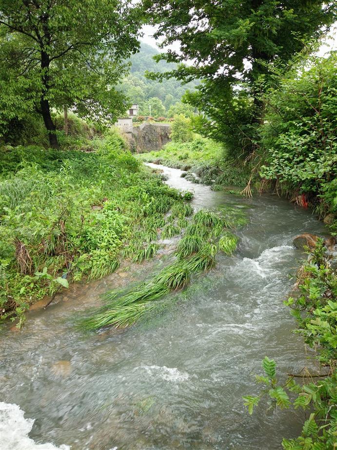 湖北省鄂州市鄂城区汀祖镇岳石洪村图片