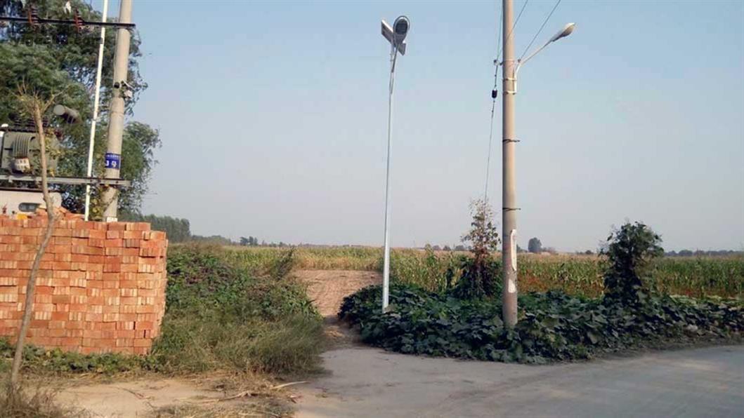 河北省衡水市武邑县武邑镇东正村图片