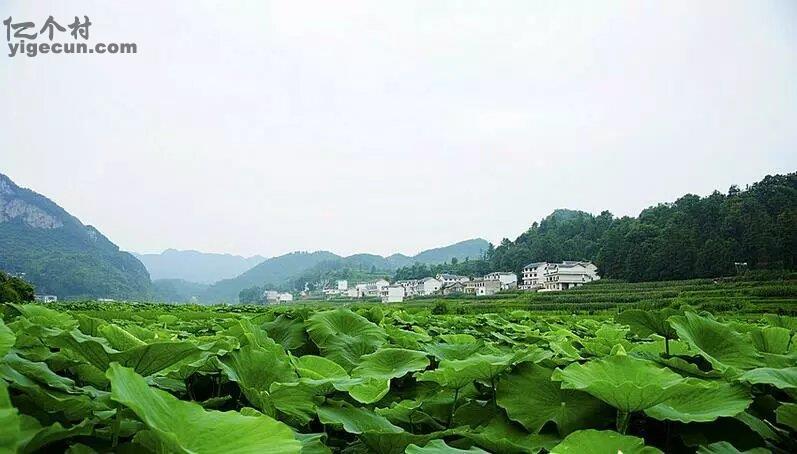 贵州省安顺市普定县化处镇水井村图片