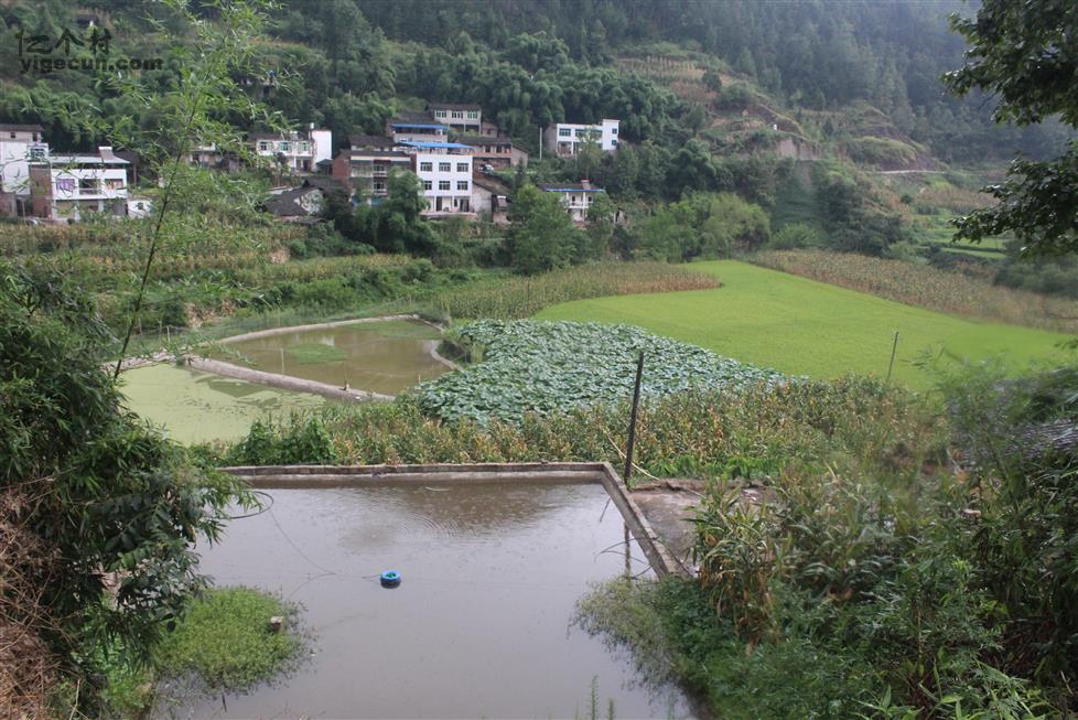 重庆市万州区龙驹镇宏福村图片