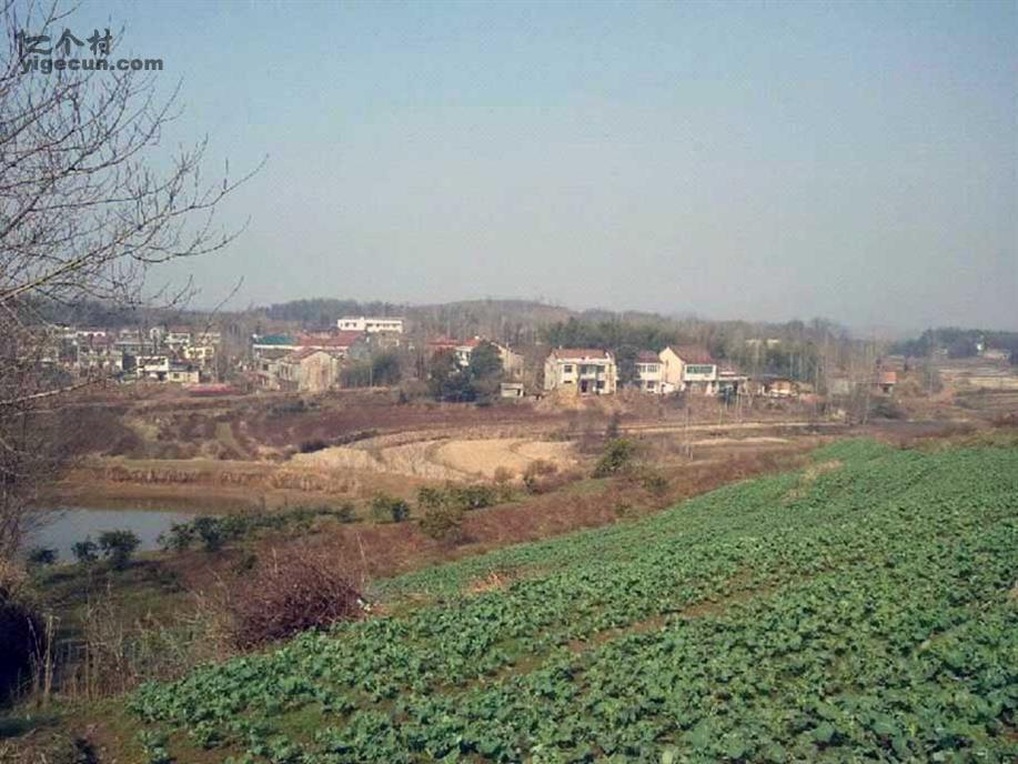 湖北省黄冈市蕲春县彭思镇康桥村图片