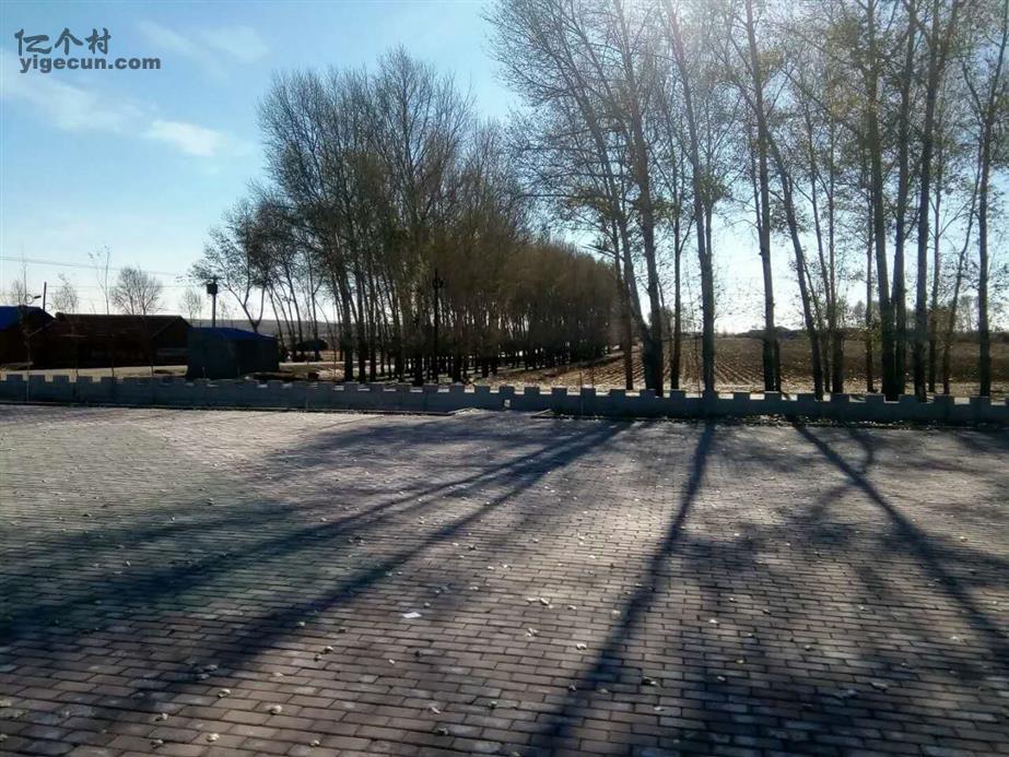 黑龙江省齐齐哈尔市龙江县龙江镇合山村图片