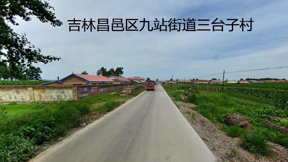 吉林省吉林市昌邑区九站街道三台子村图片