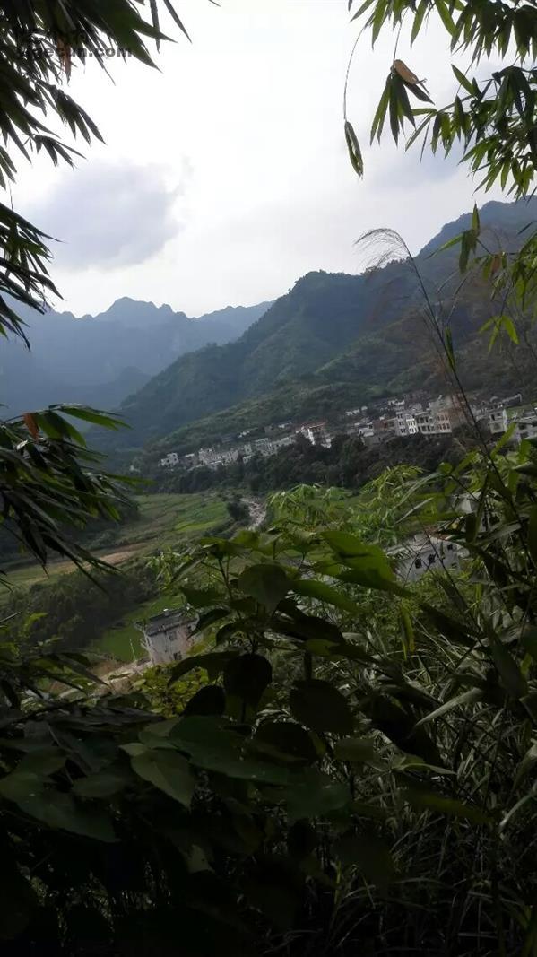 图片_广西贵港市平南县官成镇新平村