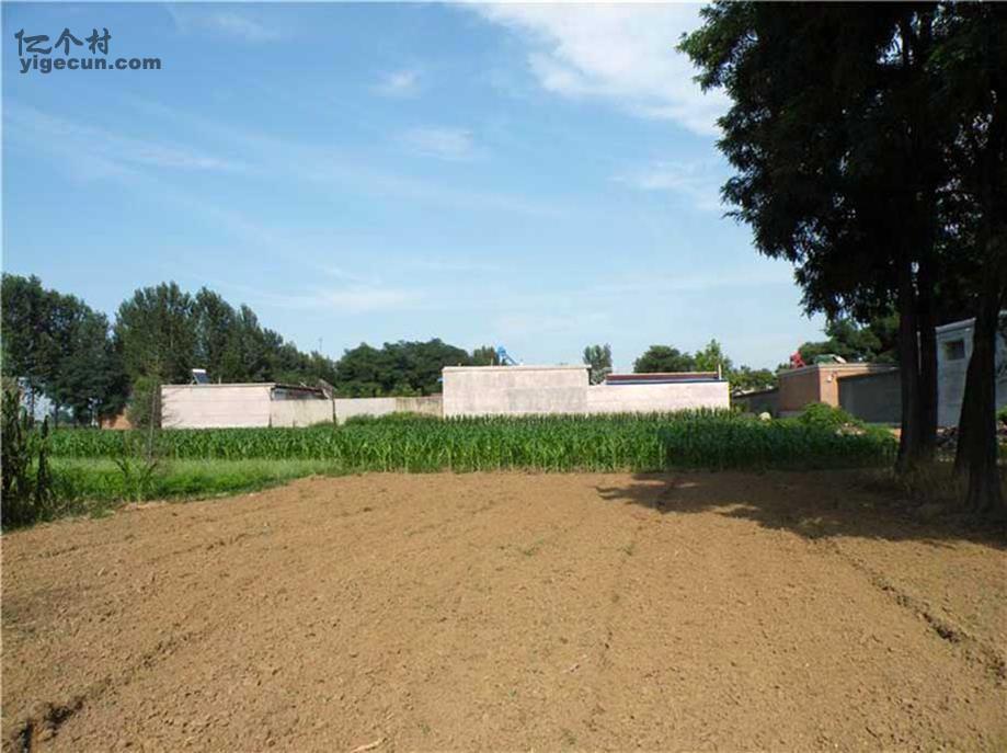 图片_河北省保定市定州市明月店镇王咬村