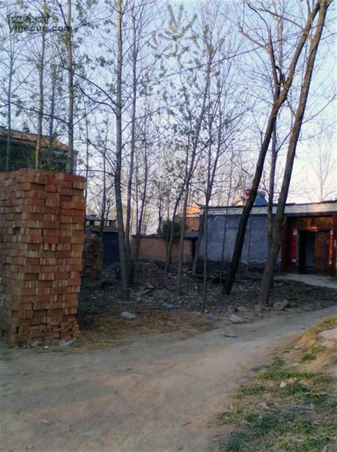 河南省商丘市宁陵县阳驿乡玉皇庙村图片