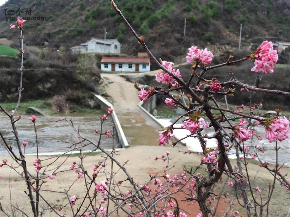 甘肃省陇南市礼县湫山乡包山村图片