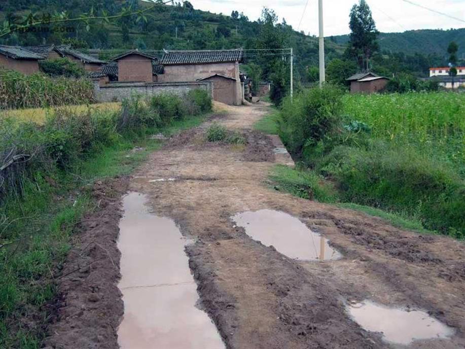 图片_云南省楚雄州姚安县弥兴镇大苴村