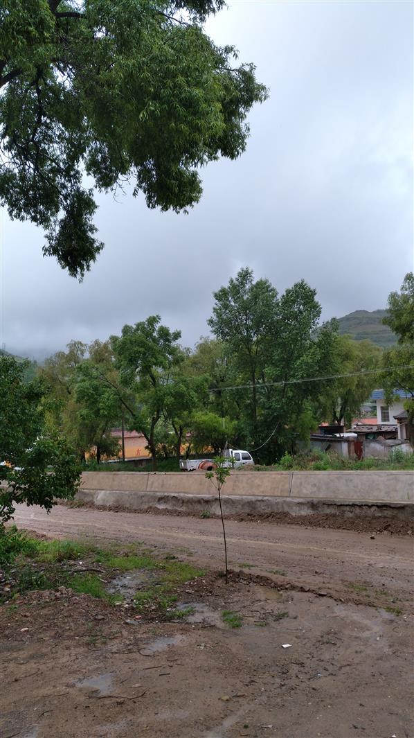 图片_甘肃省定西市陇西县菜子镇四店村