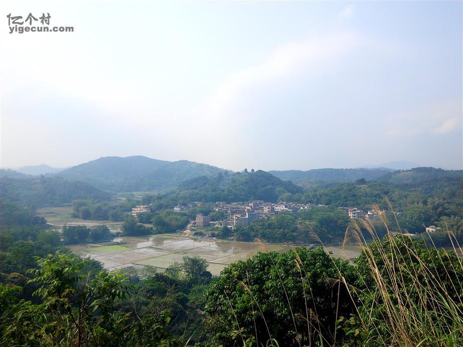 圖片_廣西欽州市靈山縣石塘鎮白花村