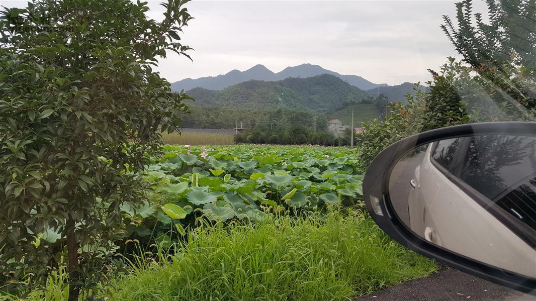 富阳区受降镇图片