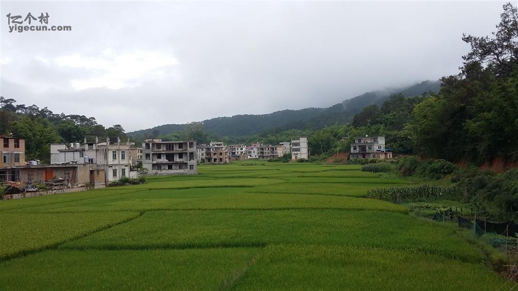 圖片說明:平山鎮八掛六雷村