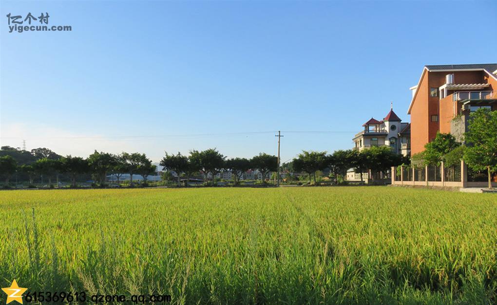 图片_福建省福州市长乐市首占镇塘屿村