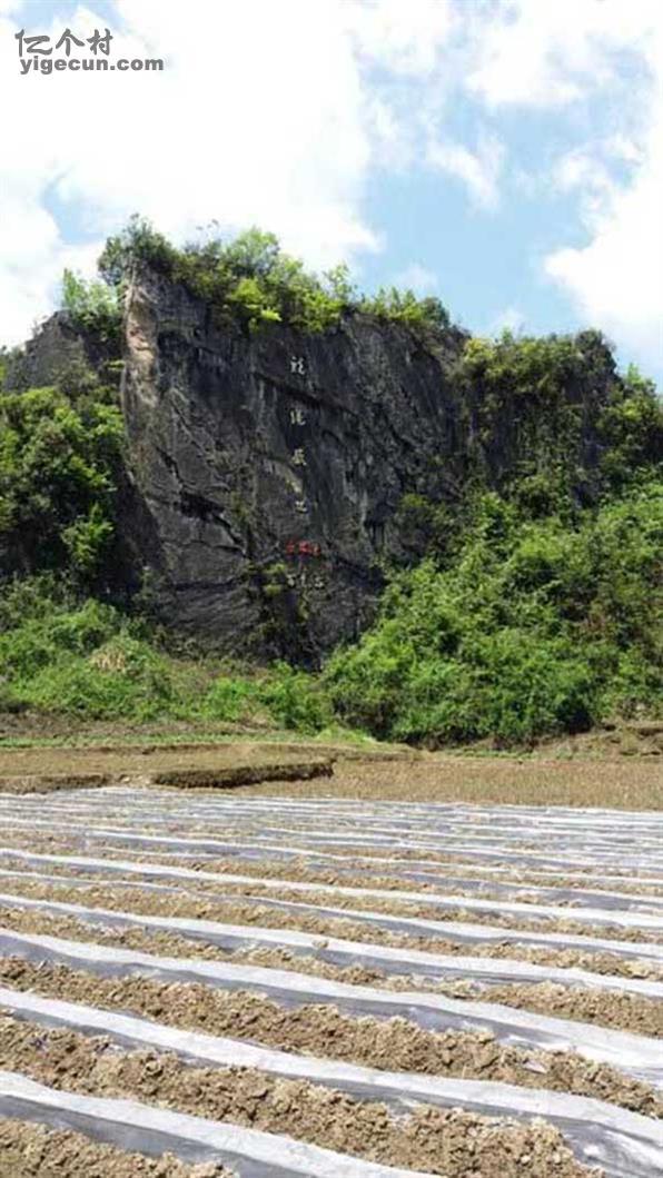 湖南省湘西州龙山县茅坪乡干坝村图片